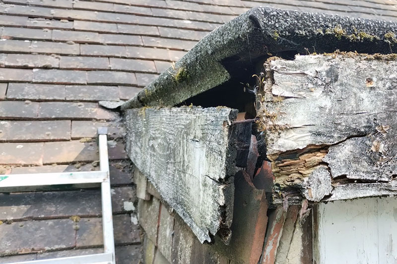 Property Maintenance